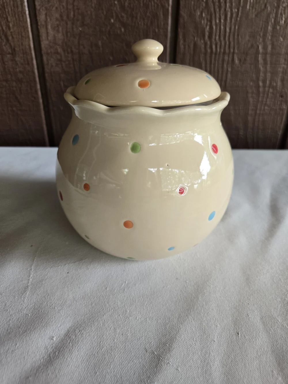 Polka Dot Ceramic 1.3qt Canister with Lid - Presentable Ovenware or Cookie Jar